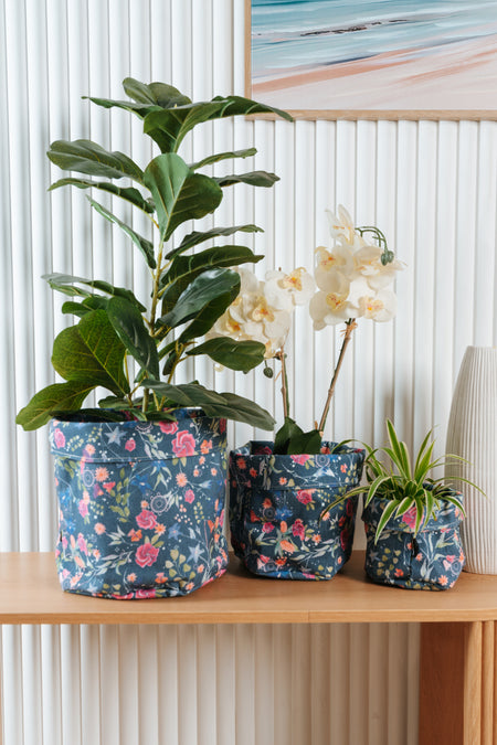 Midnight Bouquet Plant Pot