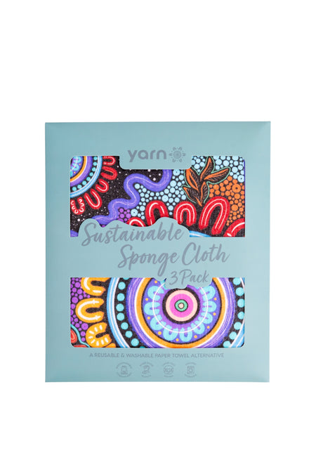 Celebration Sponge Dish Cloth (3 Pack)