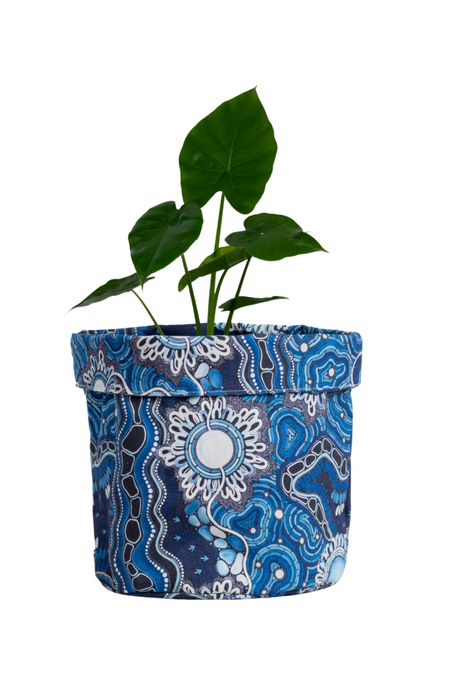 The Beginning Plant Pot