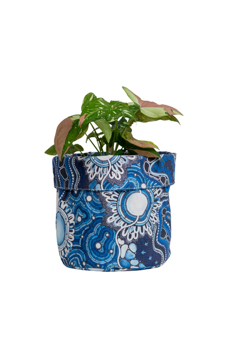 The Beginning Plant Pot