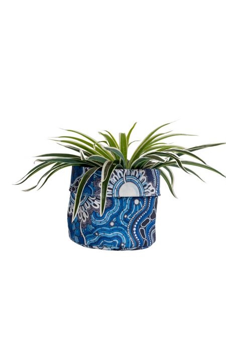The Beginning Plant Pot