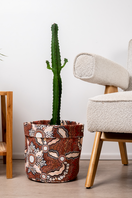 Freshwater Saltwater Plant Pot