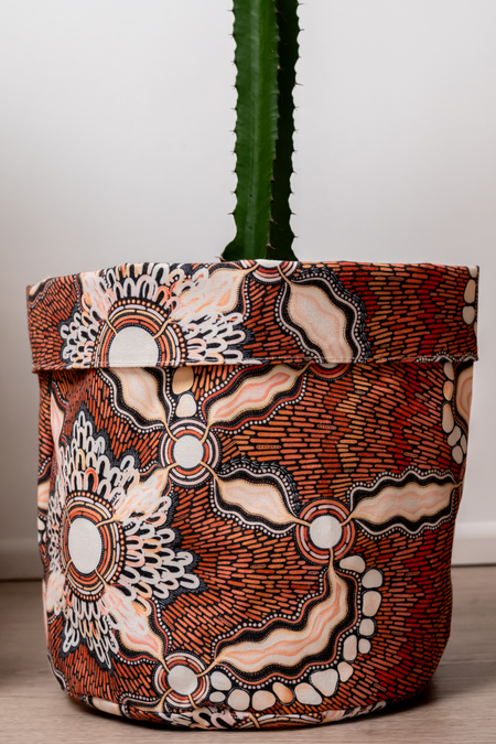 Freshwater Saltwater Plant Pot