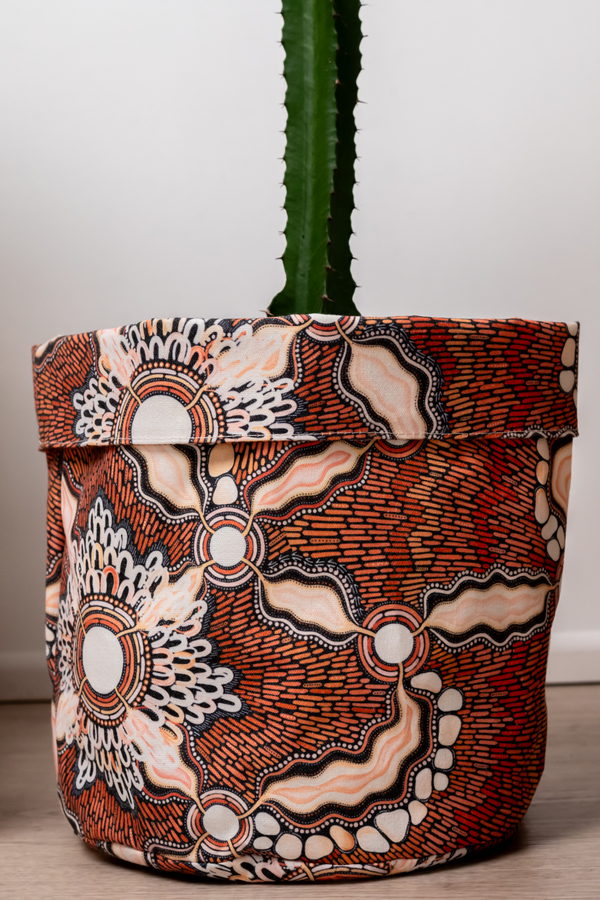 Freshwater Saltwater Plant Pot