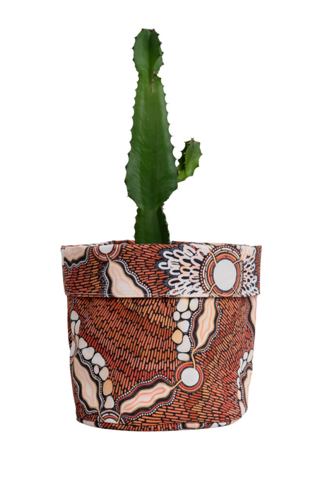 Freshwater Saltwater Plant Pot