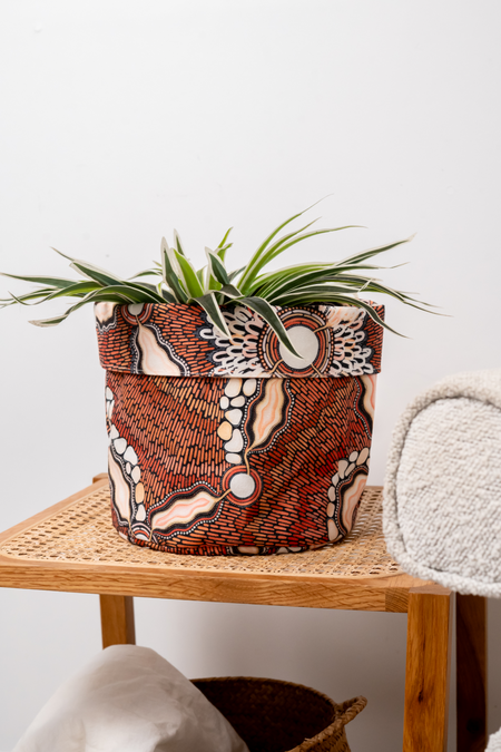 Freshwater Saltwater Plant Pot