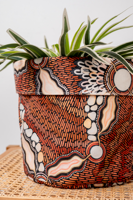 Freshwater Saltwater Plant Pot