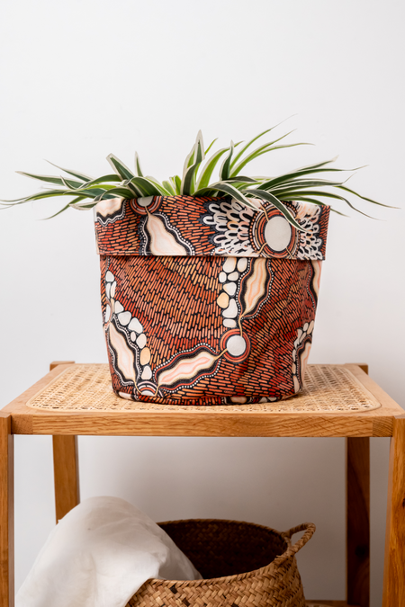 Freshwater Saltwater Plant Pot