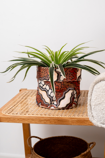 Freshwater Saltwater Plant Pot