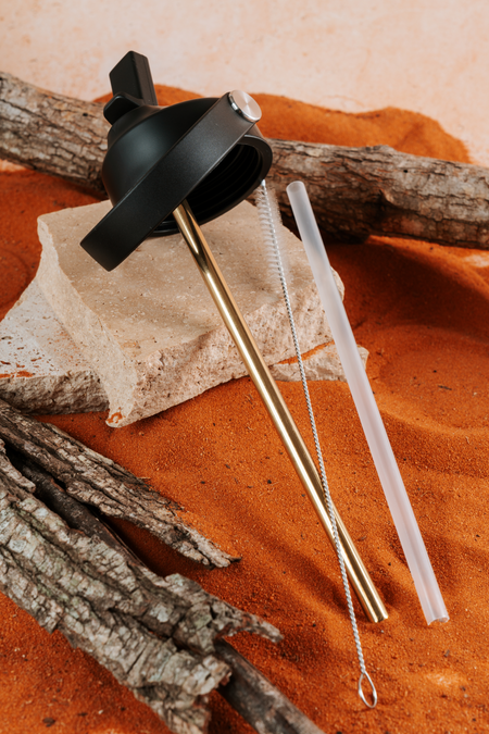 Paths That Brought Us Here NAIDOC 2026 1L Insulated Stainless Steel Drink Bottle with Handle