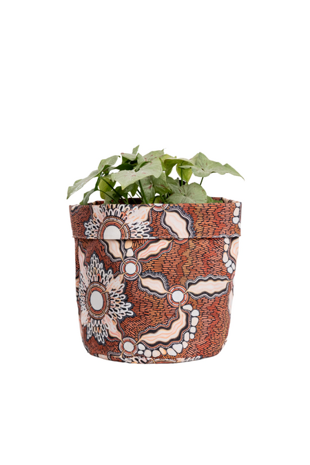 Freshwater Saltwater Plant Pot