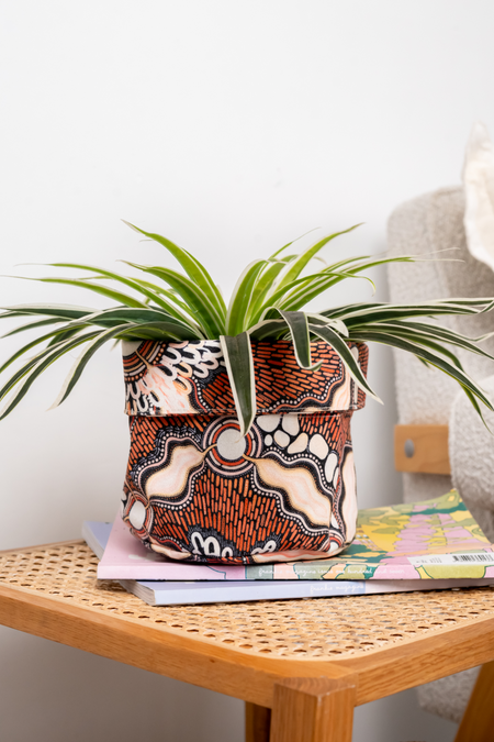 Freshwater Saltwater Plant Pot