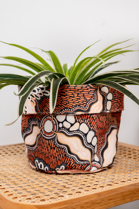 Freshwater Saltwater Plant Pot