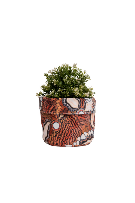 Freshwater Saltwater Plant Pot