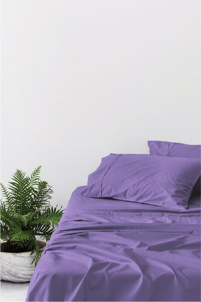Paisley Purple 100% Cotton Sheet Set
