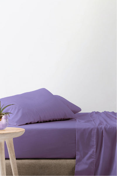 Paisley Purple 100% Cotton Sheet Set