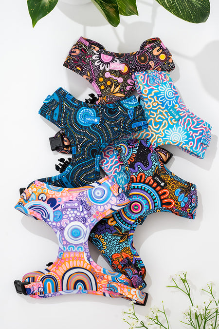 Deadly Dads 'Animal Welfare League' Dog Harness