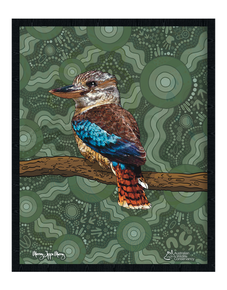 Kookaburra (Durdilapka) 'Australian Wildlife Conservancy' Sage Cotton Crew Neck Kids T-Shirt